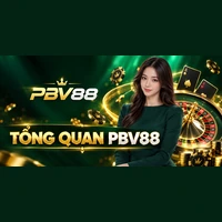 TỔNG QUAN PBV88